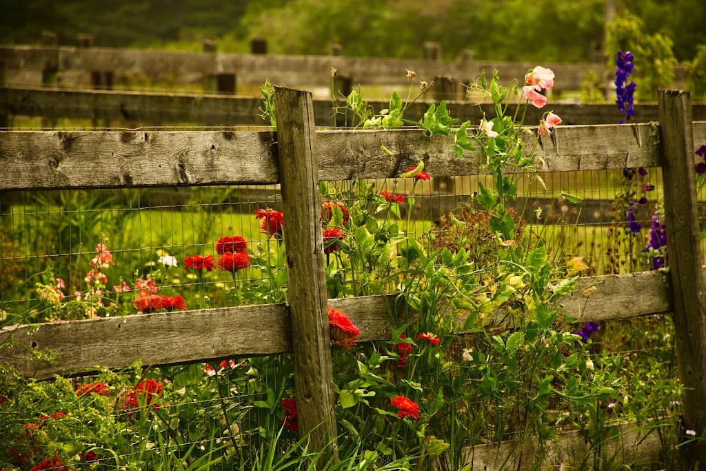 HappiLife Farm | 7702 Pemberton Meadows Rd, Pemberton, BC V0N 2L2, Canada | Phone: (604) 932-7844