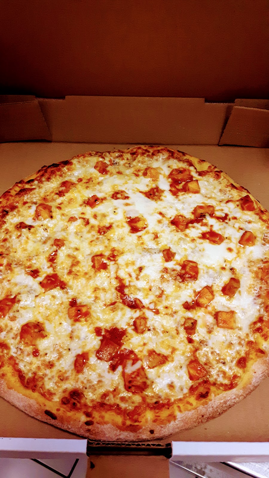 Everest Pizza | 2310 Eglinton Ave E, Scarborough, ON M1K 2M2, Canada | Phone: (416) 236-0000