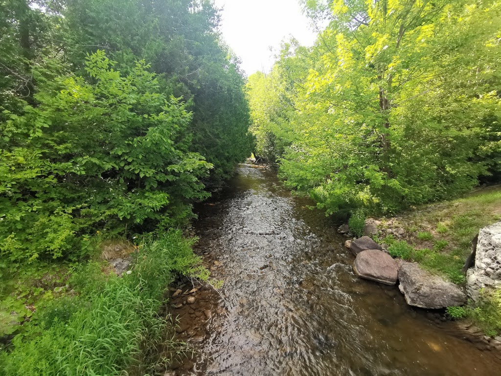 Devils Glen Provincial Park | Wasaga Beach Provincial Park, Wasaga Beach, ON N0C 1M0, Canada | Phone: (705) 429-2516