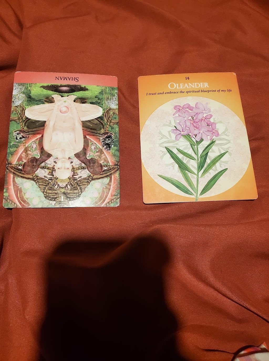 Woodland Priestess | 1268 Hughes Rd, Arden, ON K0H 1B0, Canada | Phone: (613) 240-4080