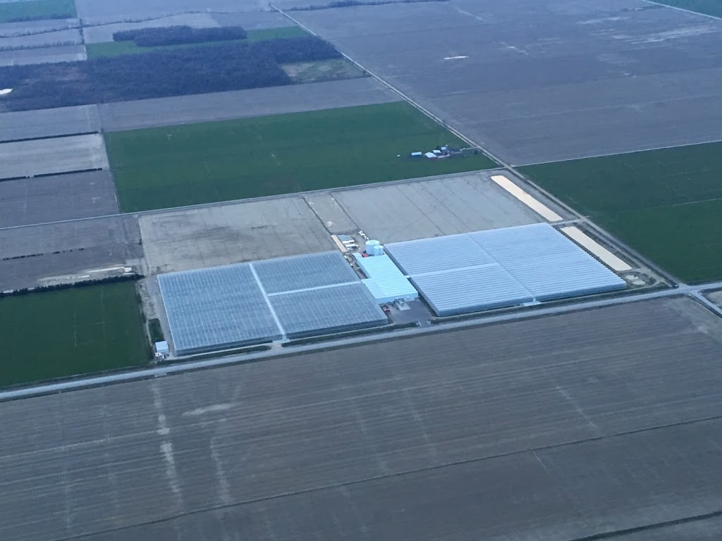 Pomas Farms Inc. | 1057 ON-77, Staples, ON N0P 2J0, Canada | Phone: (519) 326-4410