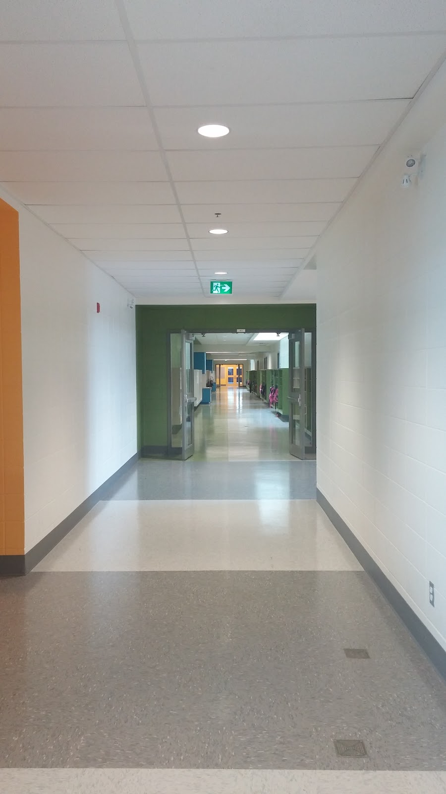École Primaire Marcelle-Gauvreau | school | 4405 Rue De Châteauneuf, Brossard, QC J4Z 0N4, Canada | 4506789103 OR +1 450-678-9103