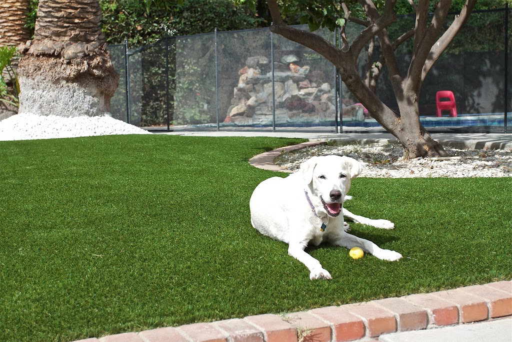 SynTurf | 934 Creebridge Crescent, Newmarket, ON L3X 1P1, Canada | Phone: (416) 707-3054