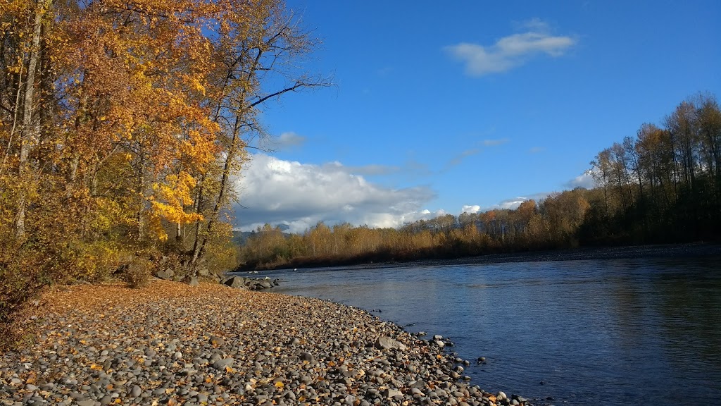 Nugents Corner River Access | 3685 Mt Baker Hwy, Everson, WA 98247, USA | Phone: (360) 599-2776