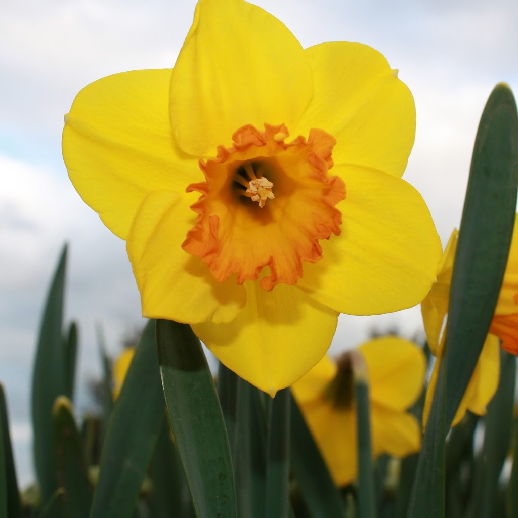 Hat Trick Farms | 18968 Fargo Rd, Blenheim, ON N0P 1A0, Canada | Phone: (519) 401-0414