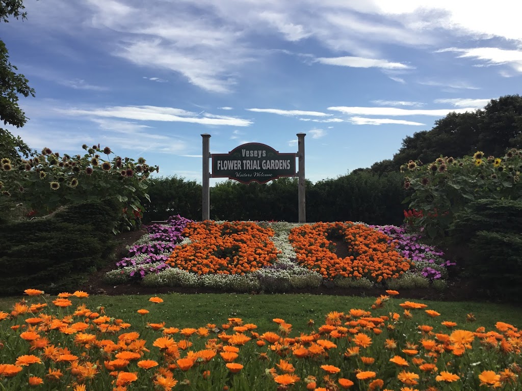 Veseys Seeds Ltd | 411 Hwy 25, York Road, York, PE C0A 1P0, Canada | Phone: (800) 363-7333