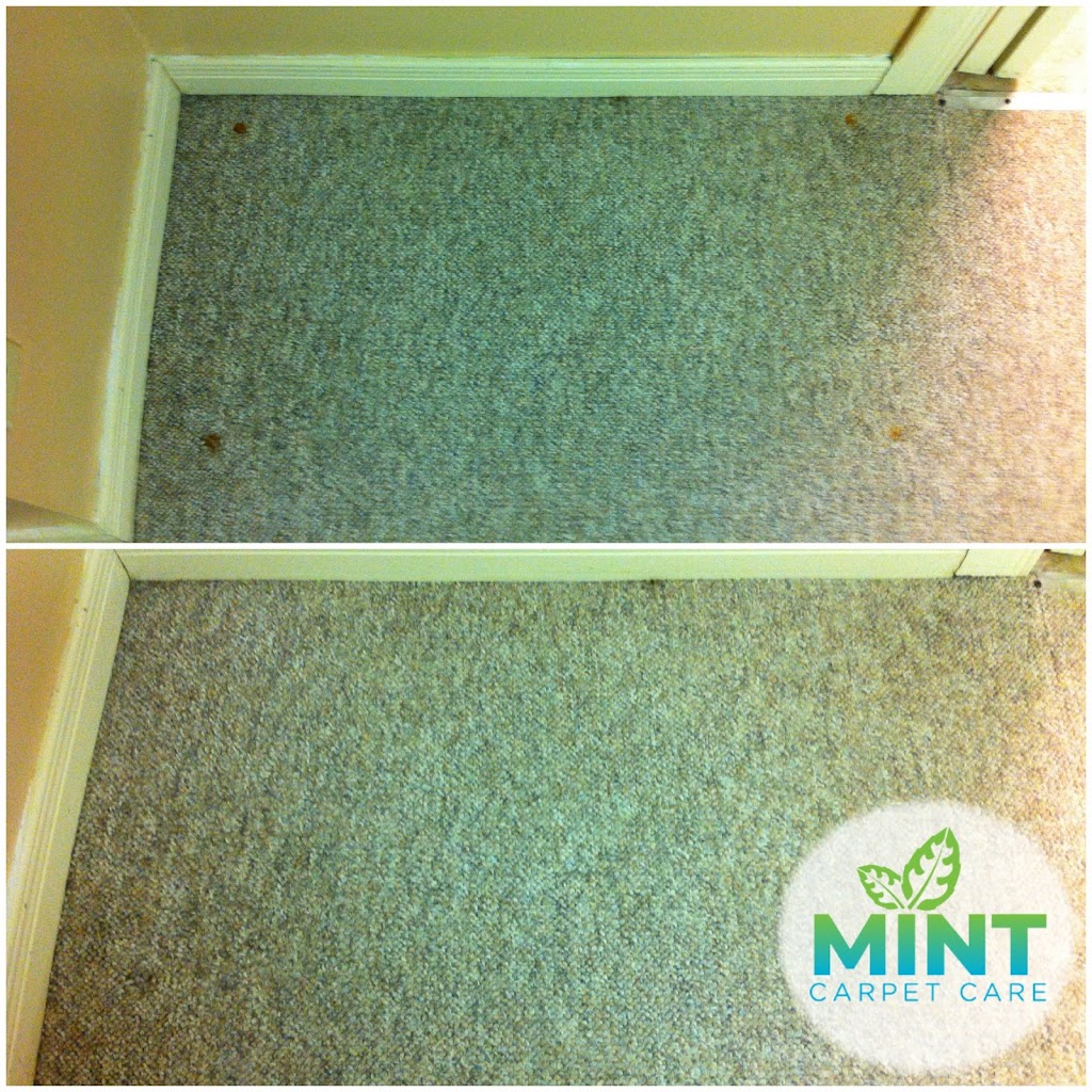 Mint Carpet Care | 317 Park Lawn Rd #28, Etobicoke, ON M8Y 3K2, Canada | Phone: (416) 828-3804