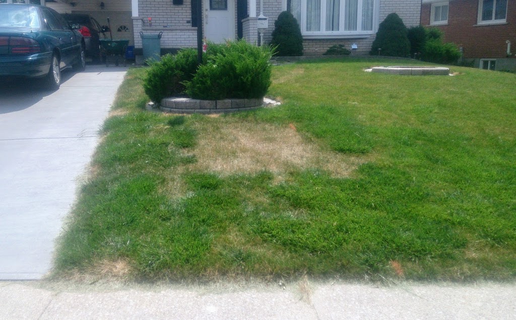Haelig and Lutz Contracting | 20 Shelley St, Georgetown, ON L7G 3W9, Canada | Phone: (289) 839-9229