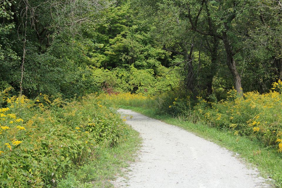 Boyd Conservation Park | 8739 Islington Ave, Woodbridge, ON L4L 1A6, Canada | Phone: (416) 661-6600