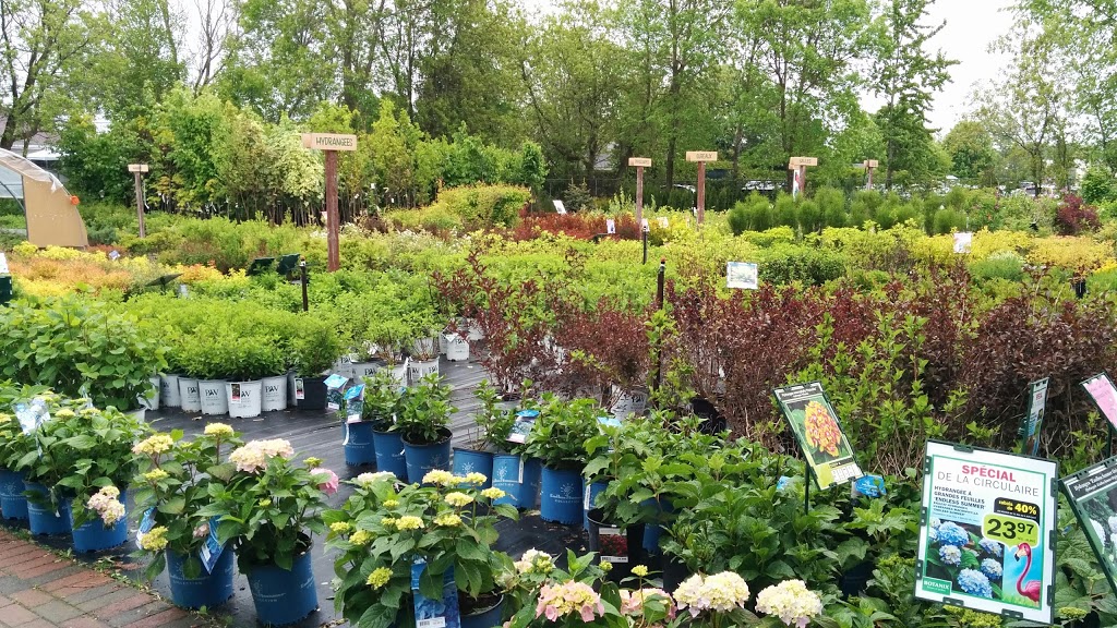 Hortibeauce | Centre Jardin BOTANIX | 333 Route Cameron, Sainte-Marie, QC G6E 3E2, Canada | Phone: (418) 387-7595