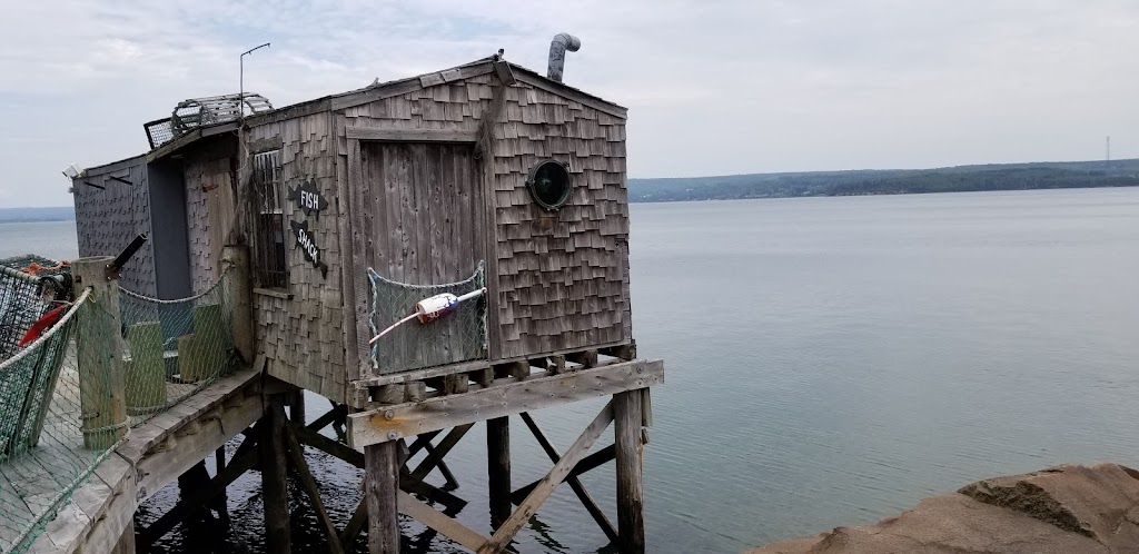 Dockside Kayak Rentals | 34 Water St, Digby, NS B0V 1A0, Canada | Phone: (902) 245-4950