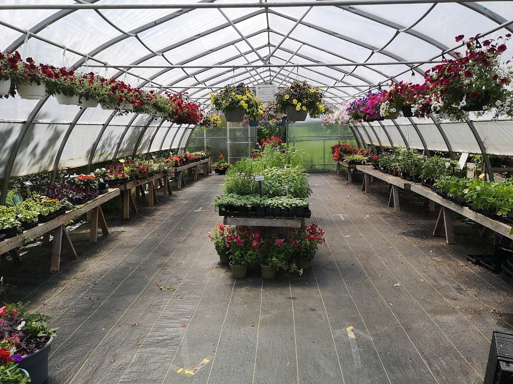 Island Pride Garden Co | 19905 All Weather Hwy, Hunter River, PE C0A 1N0, Canada | Phone: (902) 964-2444