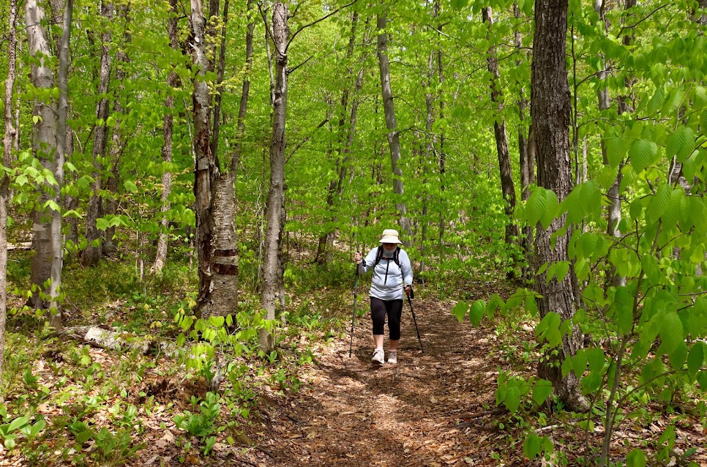 Camping Parc De La Rivière Batiscan | 200 Chem. du Barrage, Saint-Narcisse, QC G0X 2Y0, Canada | Phone: (418) 328-3599