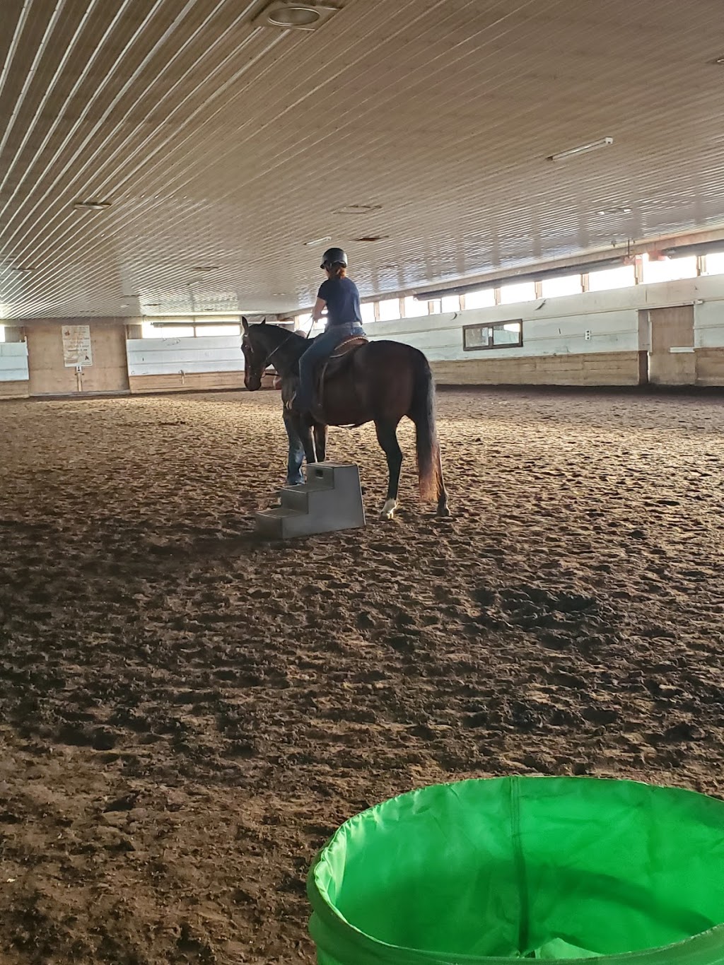 Rock n Horse Ranch | Red Deer County, AB T0M 1R0, Canada | Phone: (403) 357-9761