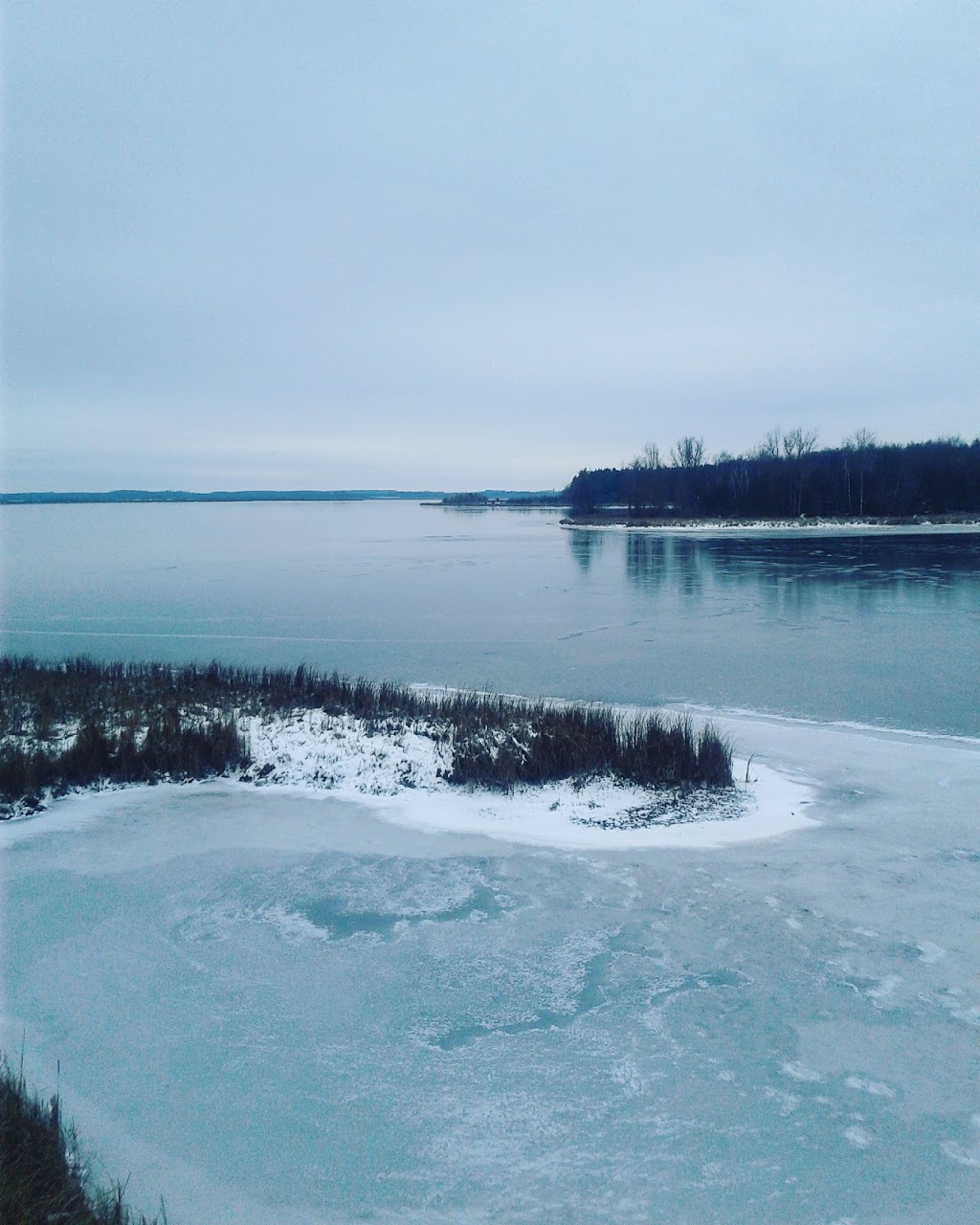 Luther Marsh Wildlife Management Area | 034588 21 Side Road, Grand Valley, ON L9W 0H2, Canada | Phone: (519) 928-2832
