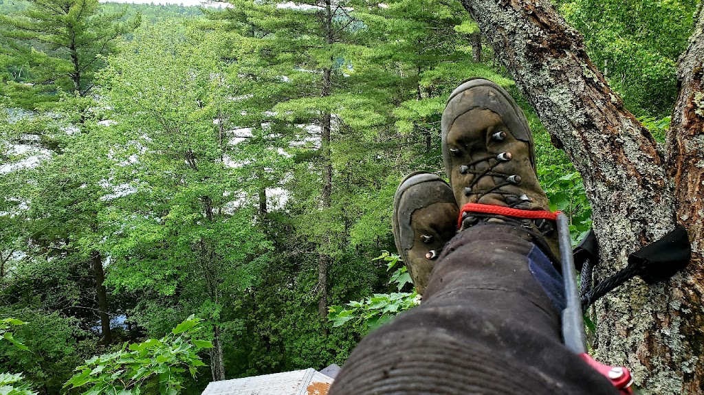 Ascension Arboriculture Elagage | 5941 Rue Lakeview, Rawdon, QC J0K 1S0, Canada | Phone: (514) 686-8011