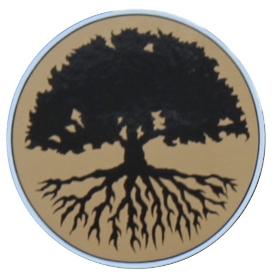 Newfane Family Chiropractic | 2743 Main St, Newfane, NY 14108, USA | Phone: (716) 778-9282