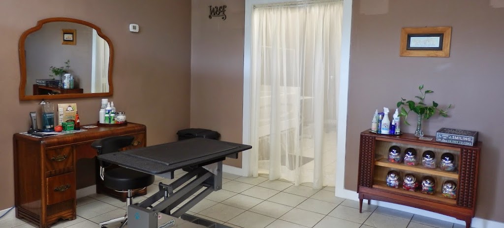 Shear Bliss for dogs | 3466 Tillicum Rd, Victoria, BC V8Z 4H3, Canada | Phone: (778) 432-3622