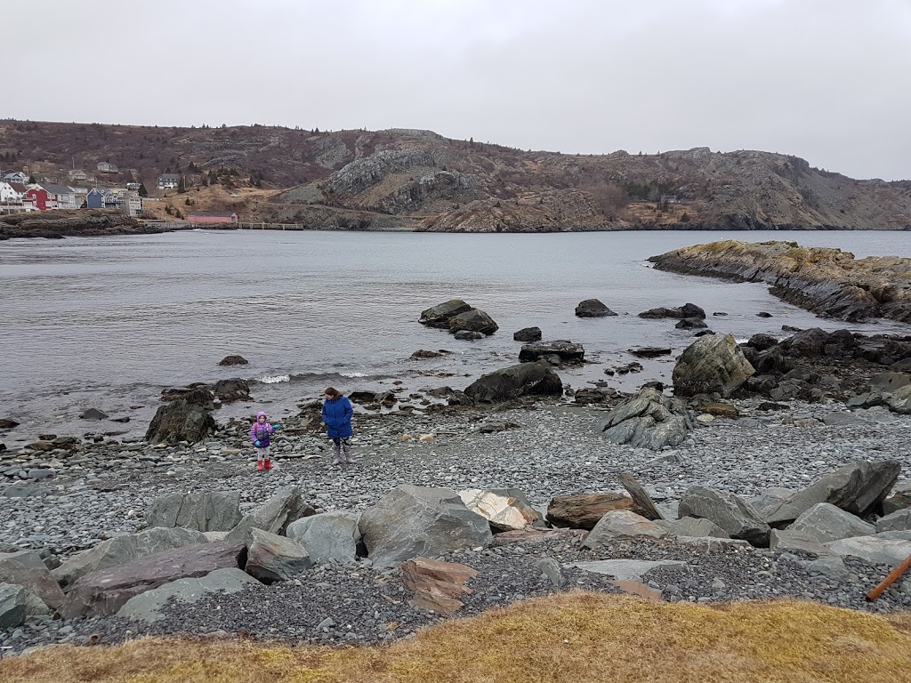 Brigus Seacliff | 44 Harbour Dr, Brigus, NL A0A 1K0, Canada | Phone: (709) 528-4488