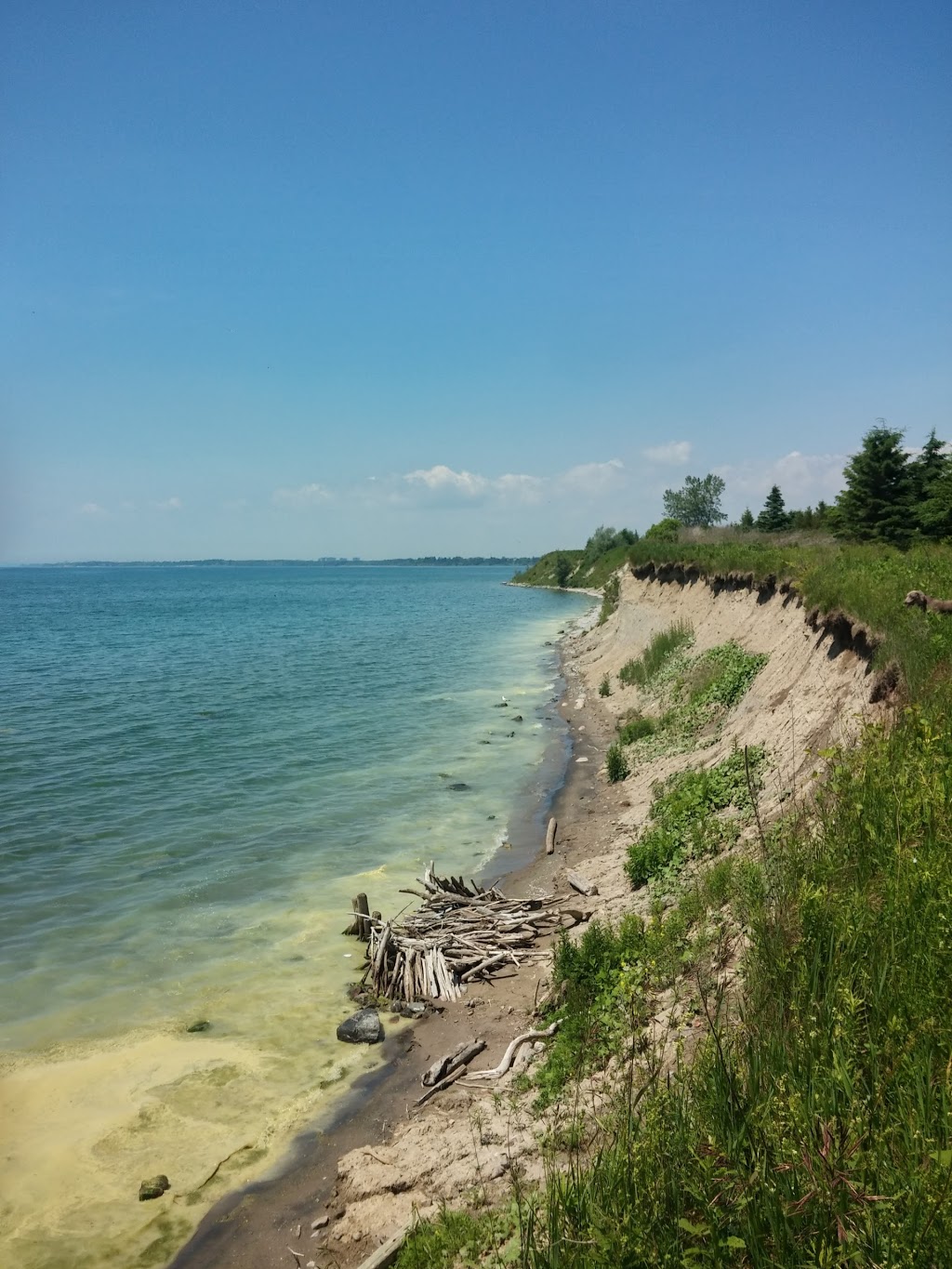 Thickson Woods | Waterfront Trail, Whitby, ON L1N 9Z7, Canada