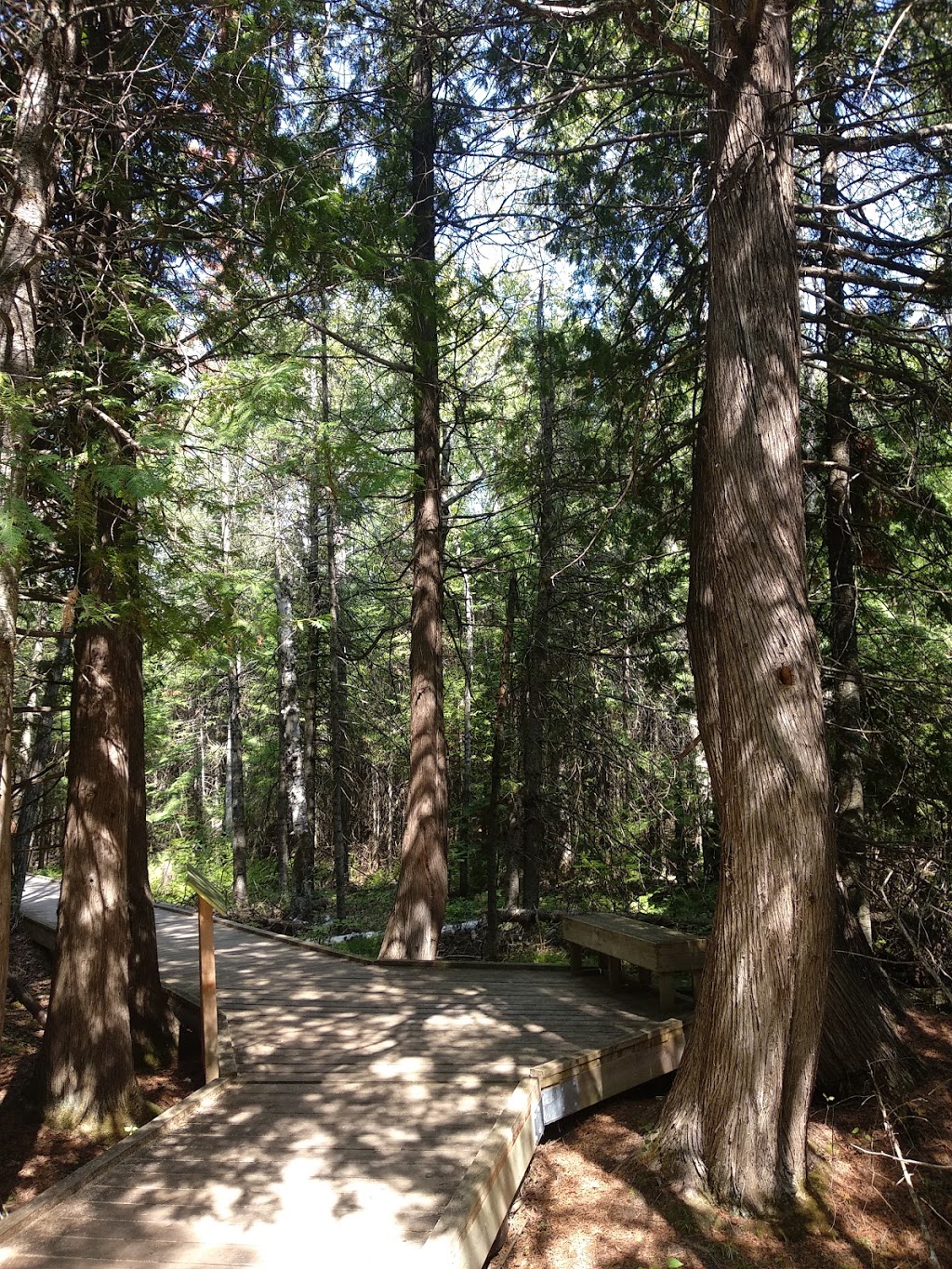 Brokenhead Wetland Interpretive Trail | 1 km south of and 12, 59 Provincial Trunk Hwy 12, Beaconia, MB R0E 0B0, Canada | Phone: (204) 250-4359