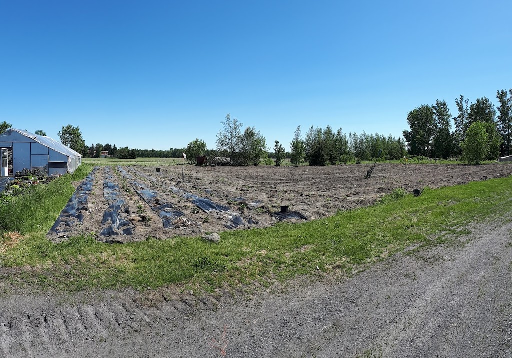 Serres Gallo | 1263 Rang Prescott, Saint-Louis, QC J0G 1K0, Canada | Phone: (450) 788-2862