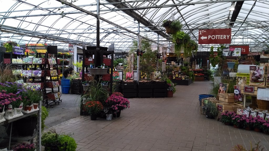 Cedar Rim Nursery Ltd | 7024 Glover Rd, Langley Twp, BC V2Y 2R1, Canada | Phone: (604) 888-4491