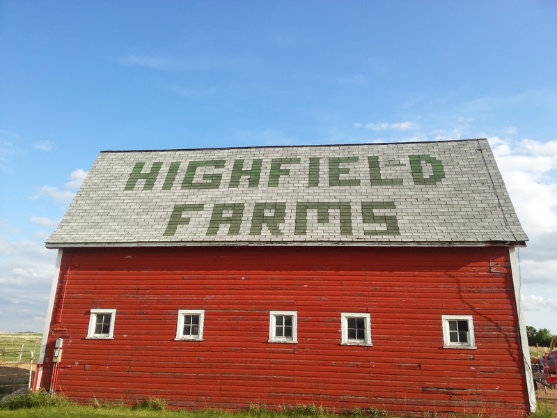 Highfield Farms | #1 RR 2293 South of, SK-13, Assiniboia, SK S0H 0B0, Canada | Phone: (306) 640-6291