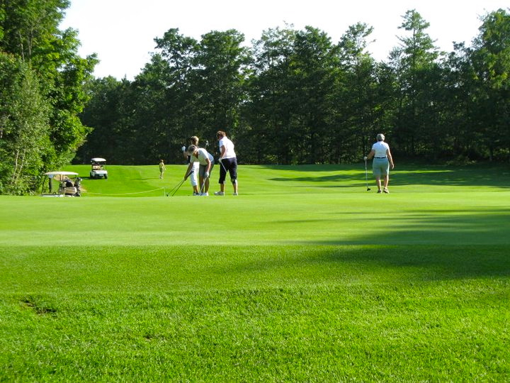 Club de Golf Des Pins | 1140 route Philomène-Thibodeau, Saint-Alban, QC G0A 3B0, Canada | Phone: (800) 223-5210