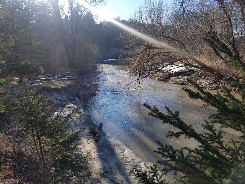 Nashville Conservation Reserve | Ontario, Canada