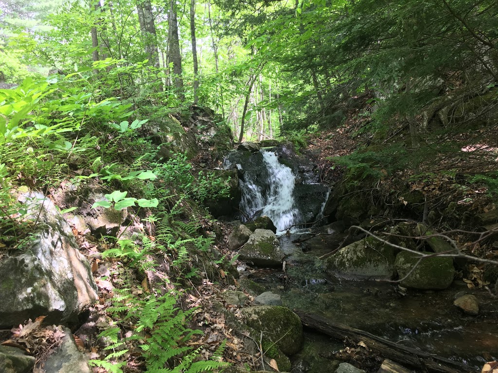 Parc de la Gatineau | 33 Chemin Scott, Chelsea, QC J9B 1R5, Canada | Phone: (613) 239-5000