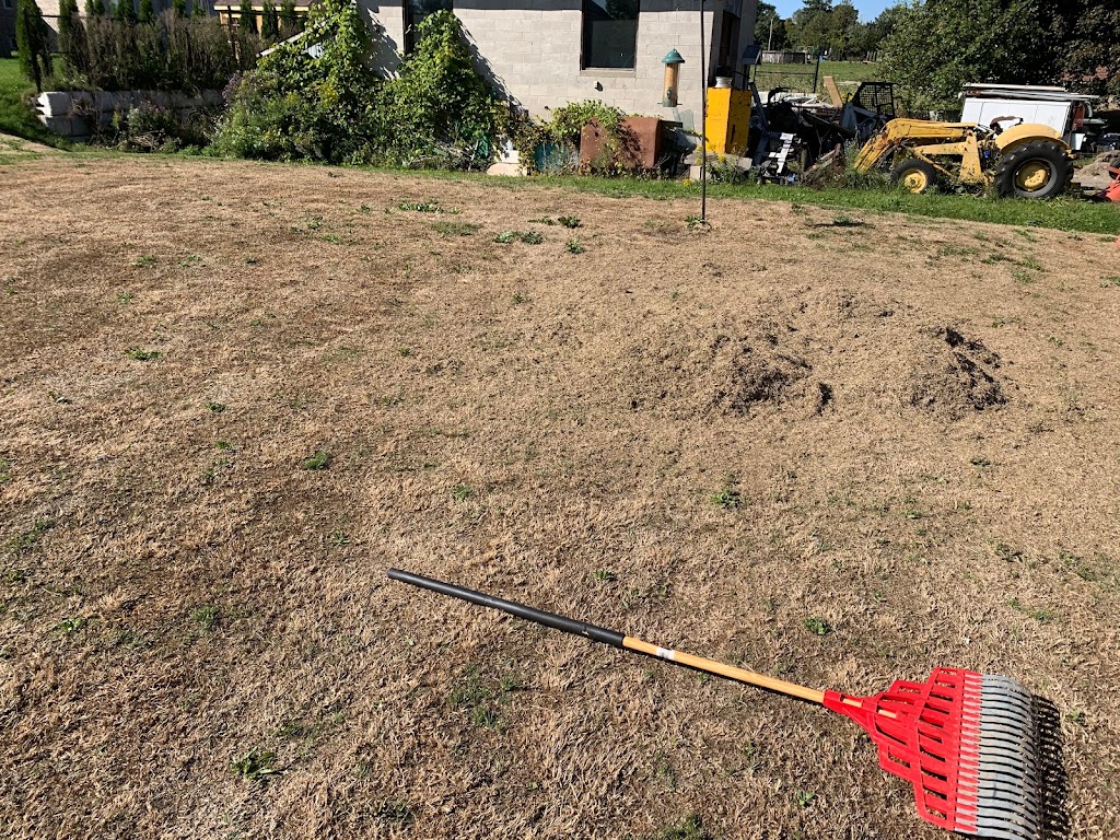 Performance Lawn Care | 247 Calford St, Angus, ON L0M 1B0, Canada | Phone: (705) 410-6110