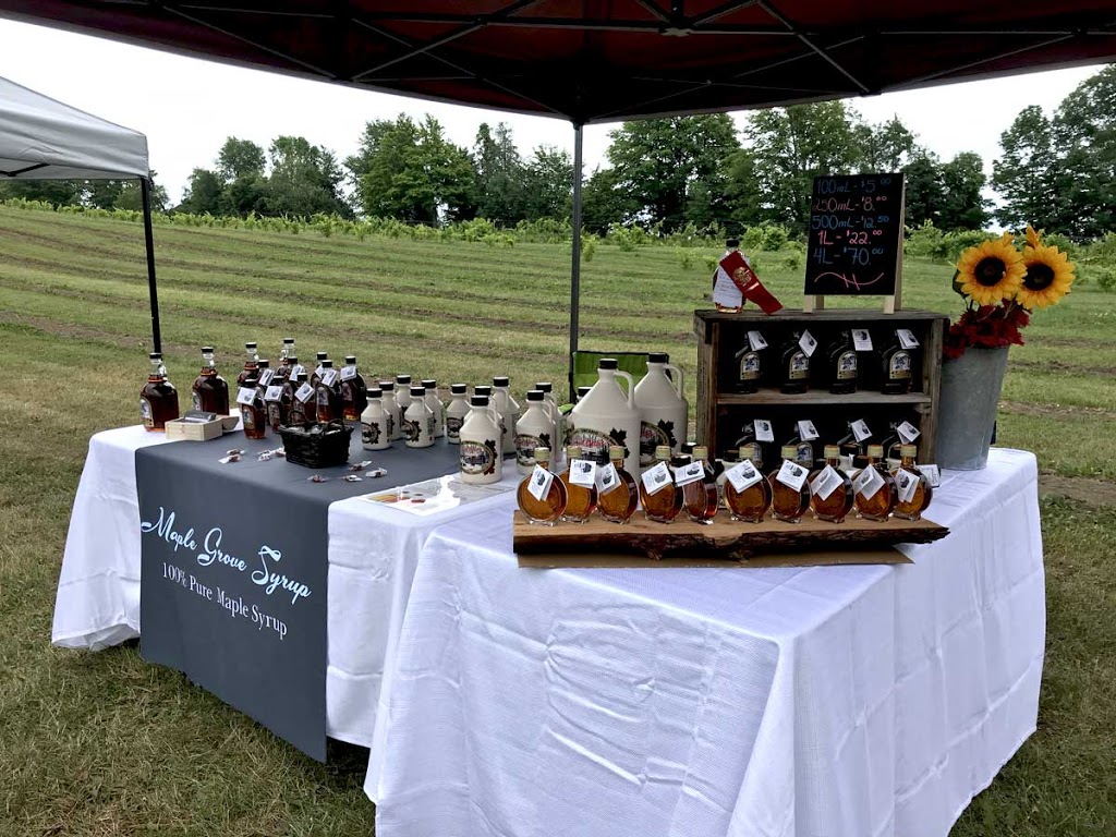 Maple Grove Syrup & Sleigh Rides | 2448 Burnside Line, Severn, ON L3V 0W1, Canada | Phone: (705) 321-2328