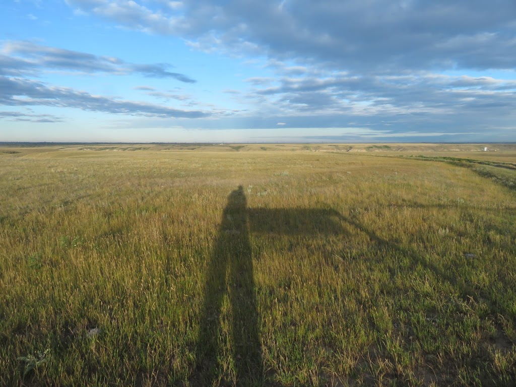 Emerson Bridge Park Campground | Newell County No. 4, AB T1R 1B2, Canada | Phone: (403) 362-1702