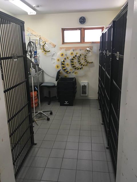 Clinique Vétérinaire Mont-Tremblant | 1290 Rue Groulx, Mont-Tremblant, QC J8E 3B8, Canada | Phone: (819) 425-9855