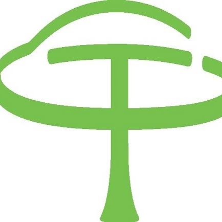 Green Tree Auto Care Inc. | 580 Riddell Rd, Orangeville, ON L9W 5H3, Canada | Phone: (519) 940-5402