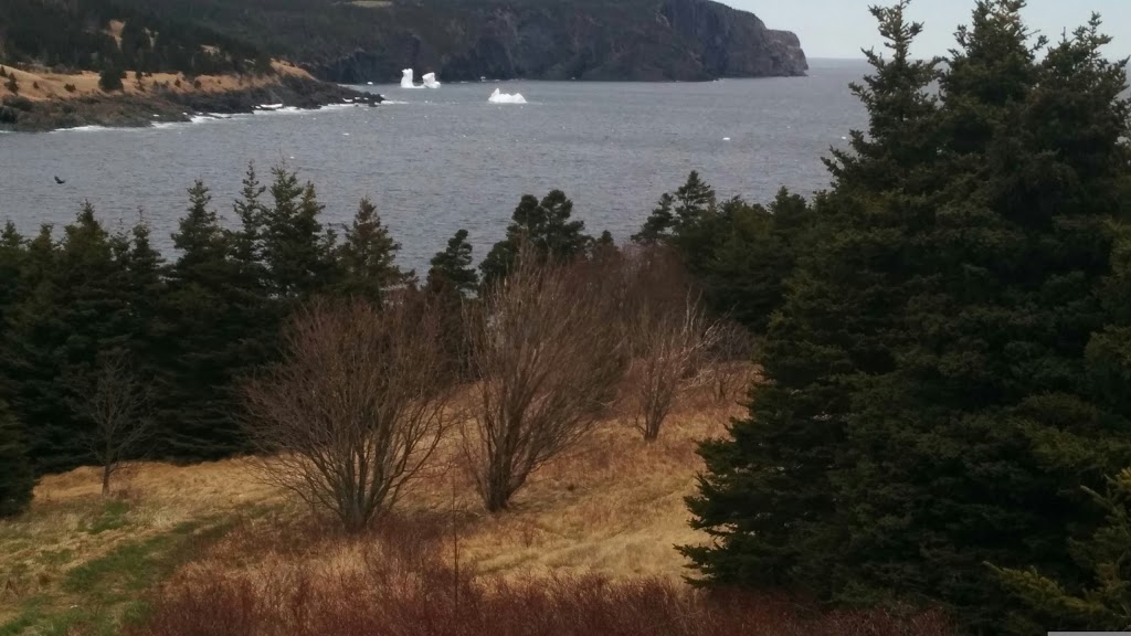 See The Sea | 102 Marine Dr, Torbay, NL A1K 1A7, Canada | Phone: (709) 437-1915