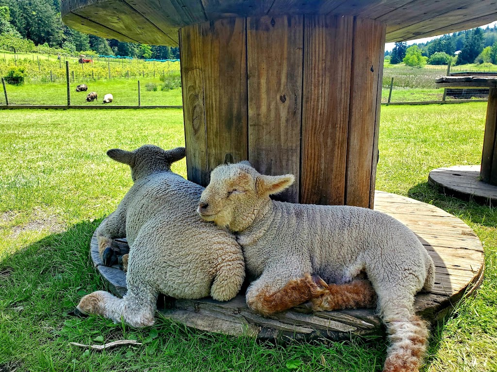 Yellow Point Farms | 4756 Yellow Point Rd, Ladysmith, BC V9G 1H2, Canada | Phone: (250) 268-1030