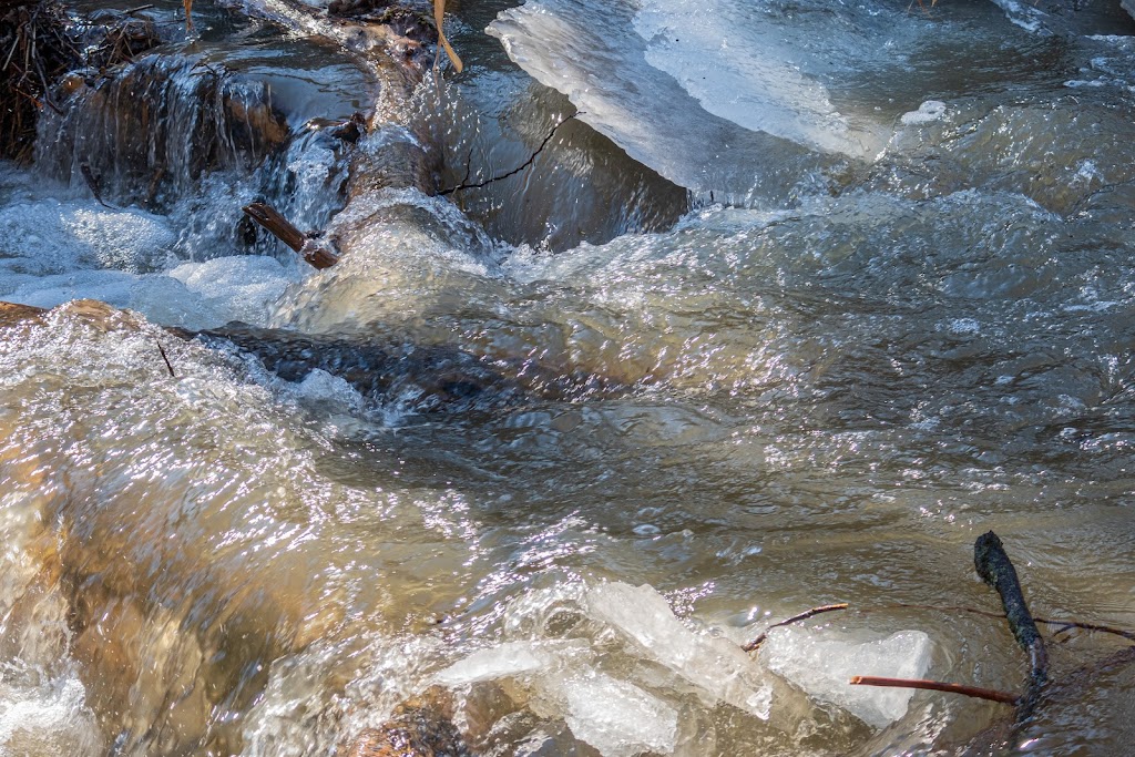 Potters Creek Conservation Area | 2061 Old Highway 2, Belleville, ON K8N 4Z2, Canada | Phone: (613) 968-3434