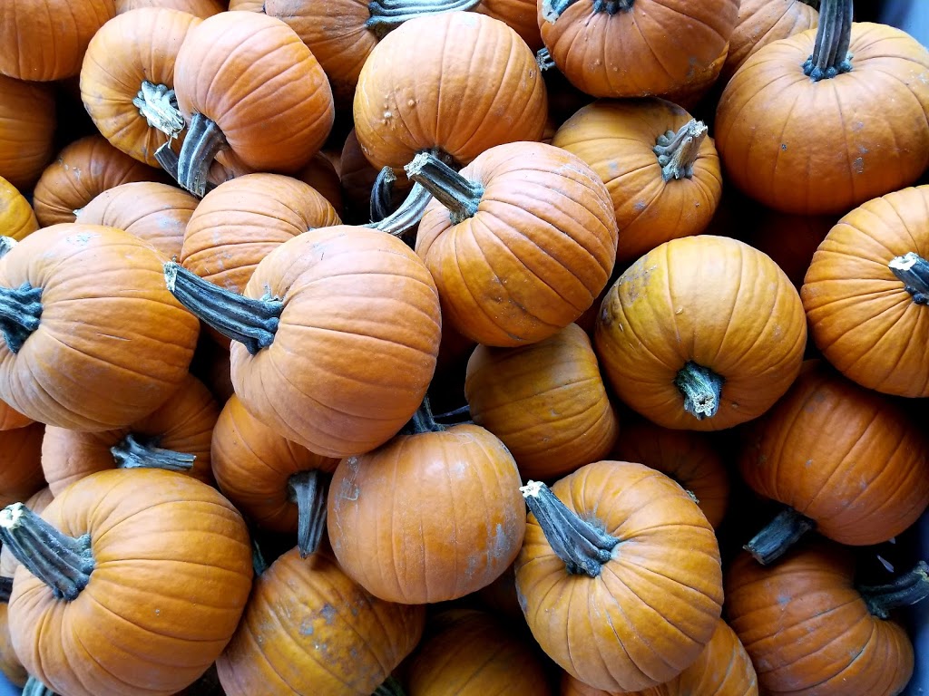 Lincoln Line Orchards | 9764 RR 20, Smithville, ON L0R 2A0, Canada | Phone: (905) 643-2205