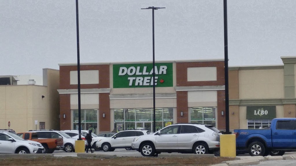 Dollar Tree | L3, 420 Vansickle Rd Rr3, St. Catharines, ON L2R 6P9, Canada | Phone: (905) 988-9565