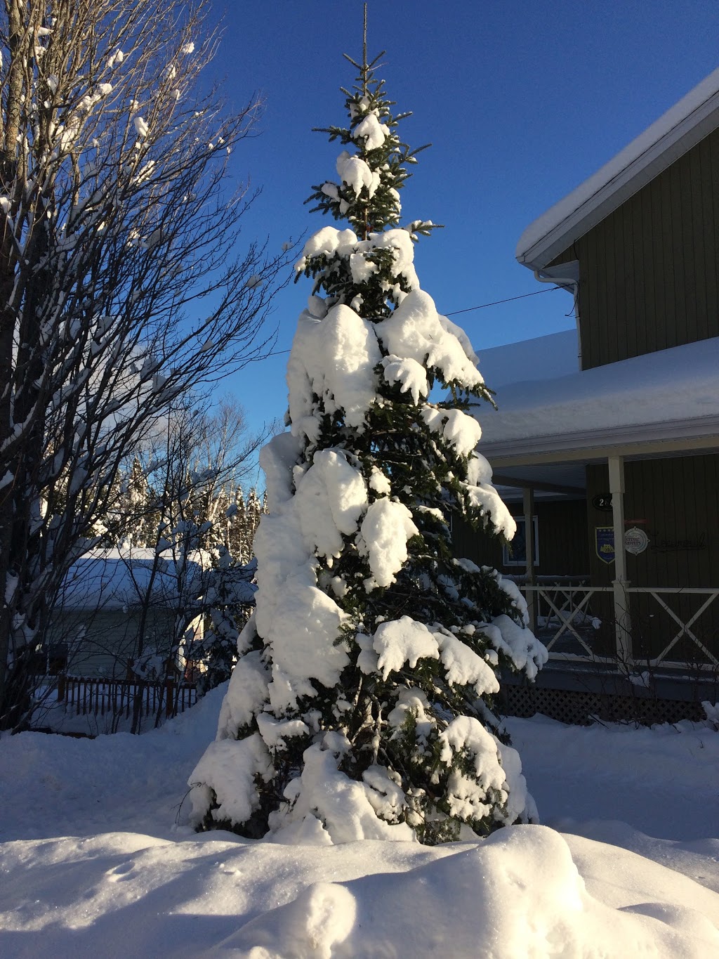 Gîte LÉcureuil | 264 Rue Principale, Petite-Rivière-Saint-François, QC G0A 2L0, Canada | Phone: (877) 632-1058