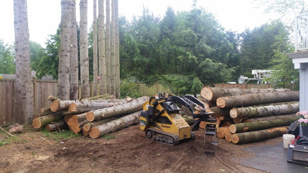 Fields Tree Service Inc. | 34351 Harris Rd, Abbotsford, BC V3G 1R8, Canada | Phone: (778) 838-9720