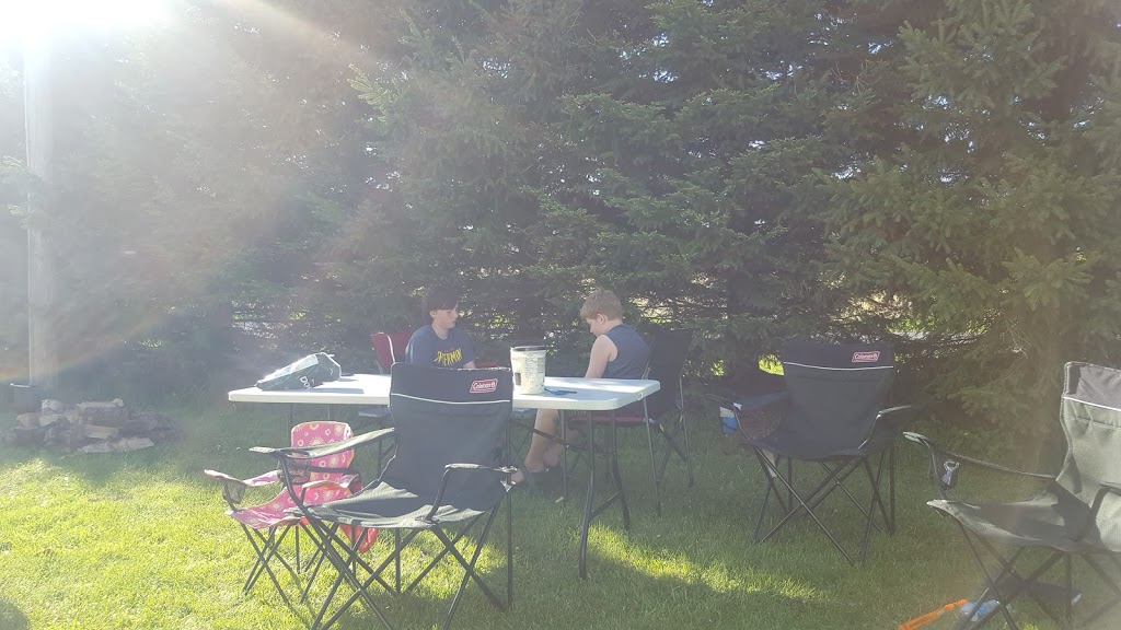 Dreamland Resort | 885 River Rd, Hastings, ON K0L 1Y0, Canada | Phone: (705) 696-9888