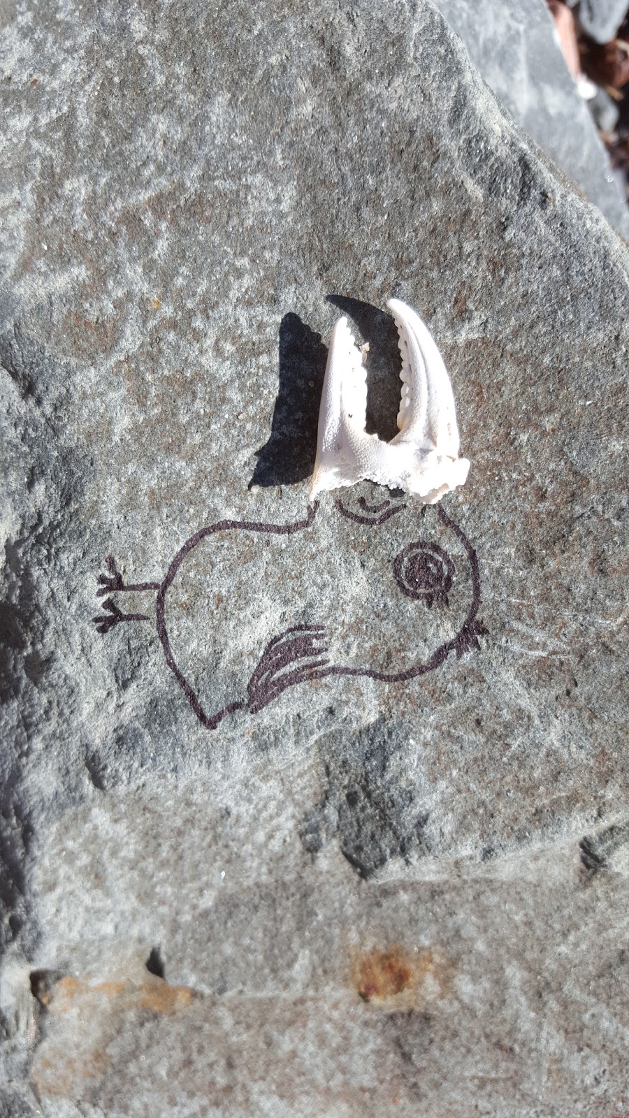 Lees Public Art | 100 Alderney Dr, Dartmouth, NS B2Y 0B4, Canada