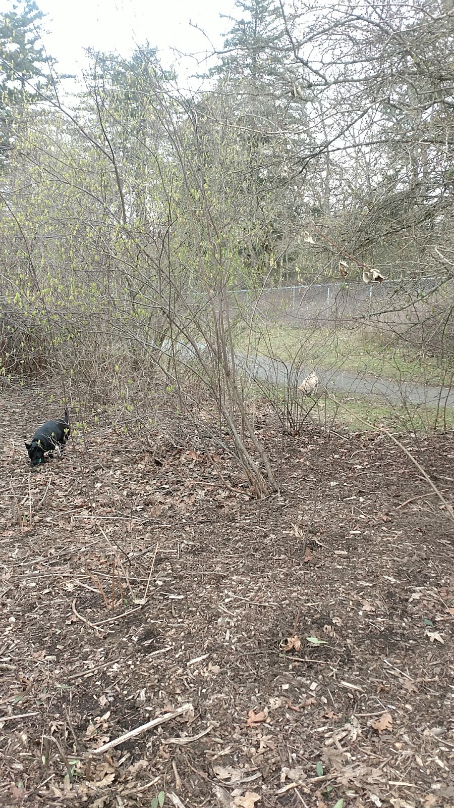Vic Derman Park (formerly Christmas Hill Park) | 4099 Douglas St, Victoria, BC V8Z 0B9, Canada | Phone: (250) 475-5522