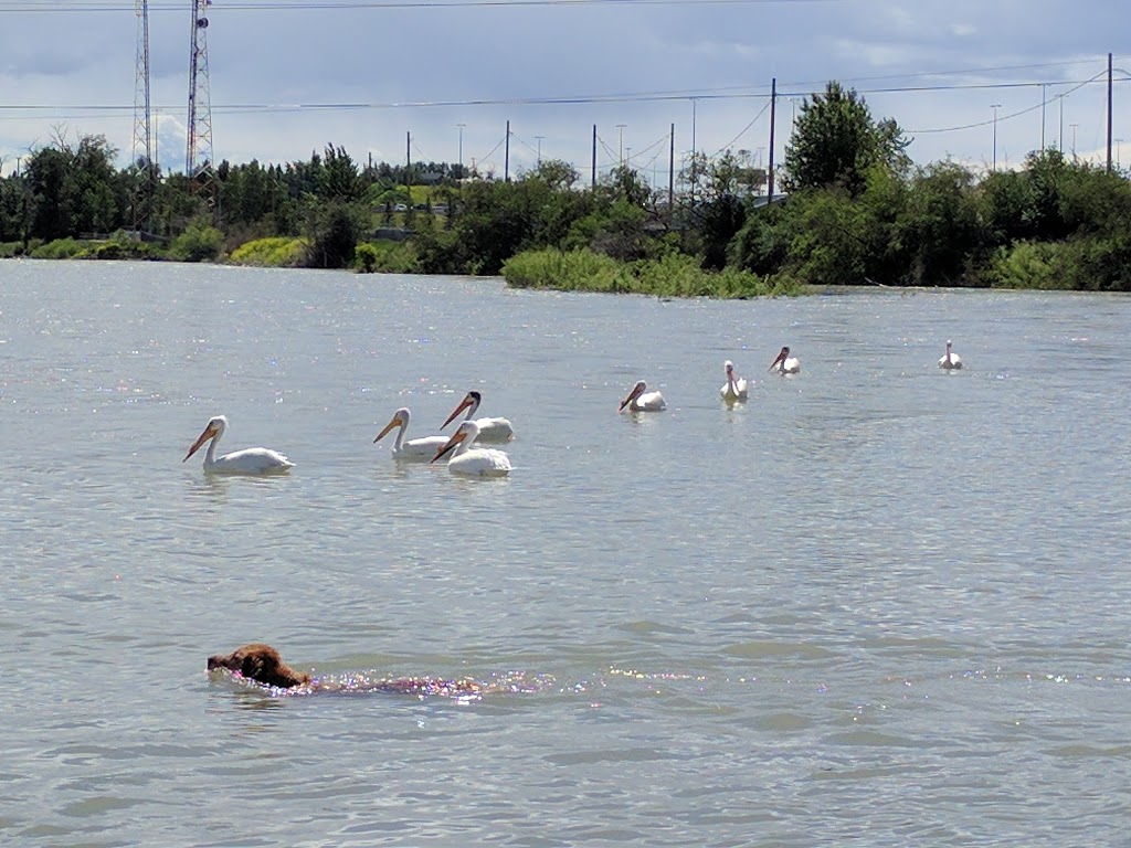 Sue Higgins Park | Southland Drive SE &, Deerfoot Trail, Calgary, AB T2J 1S1, Canada | Phone: (403) 268-2489