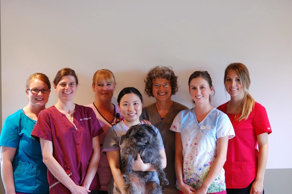 Dean Park Pet Hospital | 1700 McTavish Rd, North Saanich, BC V8L 5T9, Canada | Phone: (250) 656-9911