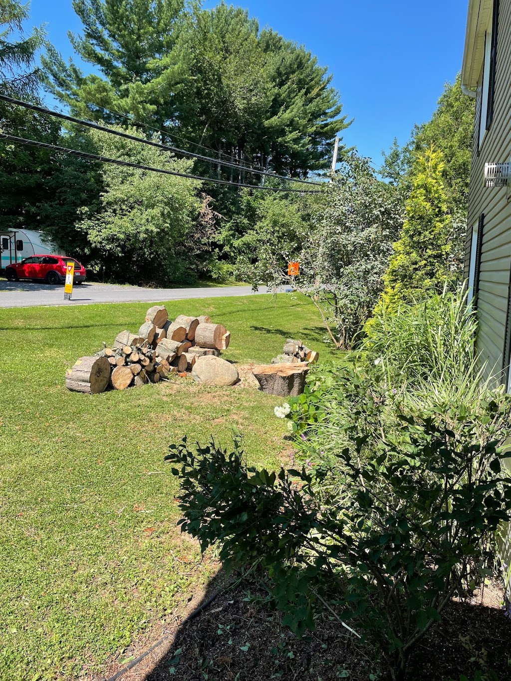 TAS Tree Removal & Pruning | 2343 Pl. des Musiciens, Saint-Lazare, QC J7T 3C6, Canada | Phone: (514) 701-2684