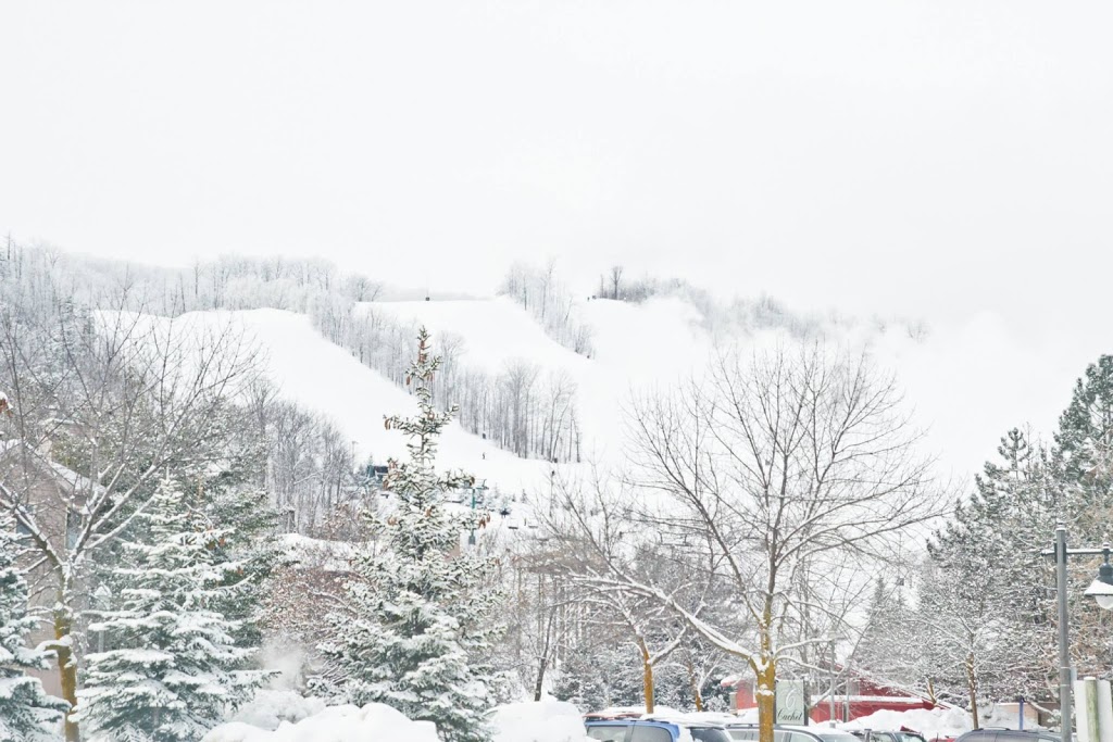 Blue Mountain | 796562 Grey County Rd 19, The Blue Mountains, ON L9Y 0S5, Canada | Phone: (877) 445-0231